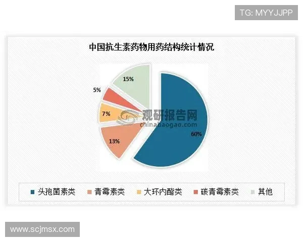 上海排球队实力分析与发展前景的深度探讨与展望