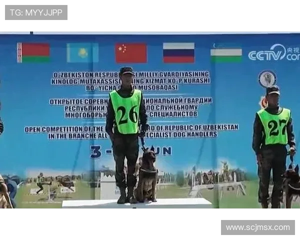 南京排球队中路突破革新引领战术变革与未来发展展望