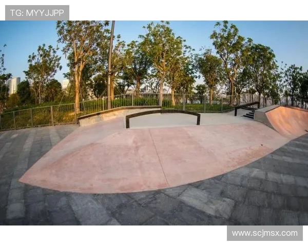 深圳滑板队灵活性深度对比分析与发展潜力探讨 深圳滑板队灵活性深度对比分析与发展潜力探讨