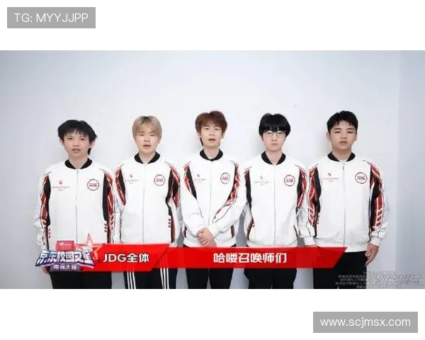 王者荣耀战队JDG的默契配合与战术分析探讨