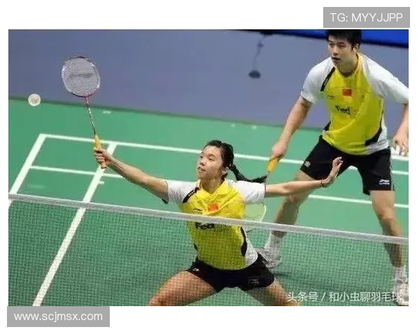 羽毛球战术解析：探讨北京羽毛球队的战术控制与执行体系