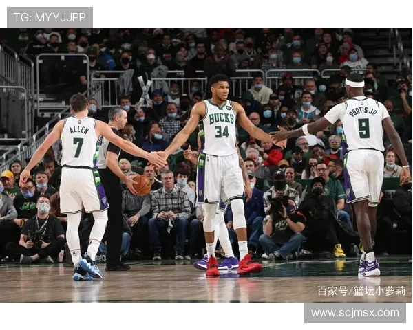 公牛与雄鹿季后赛精彩对决全场录像回放分析与精彩瞬间集锦