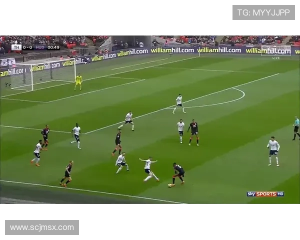 哈德斯菲尔德对阵热刺全景分析与精彩瞬间回顾